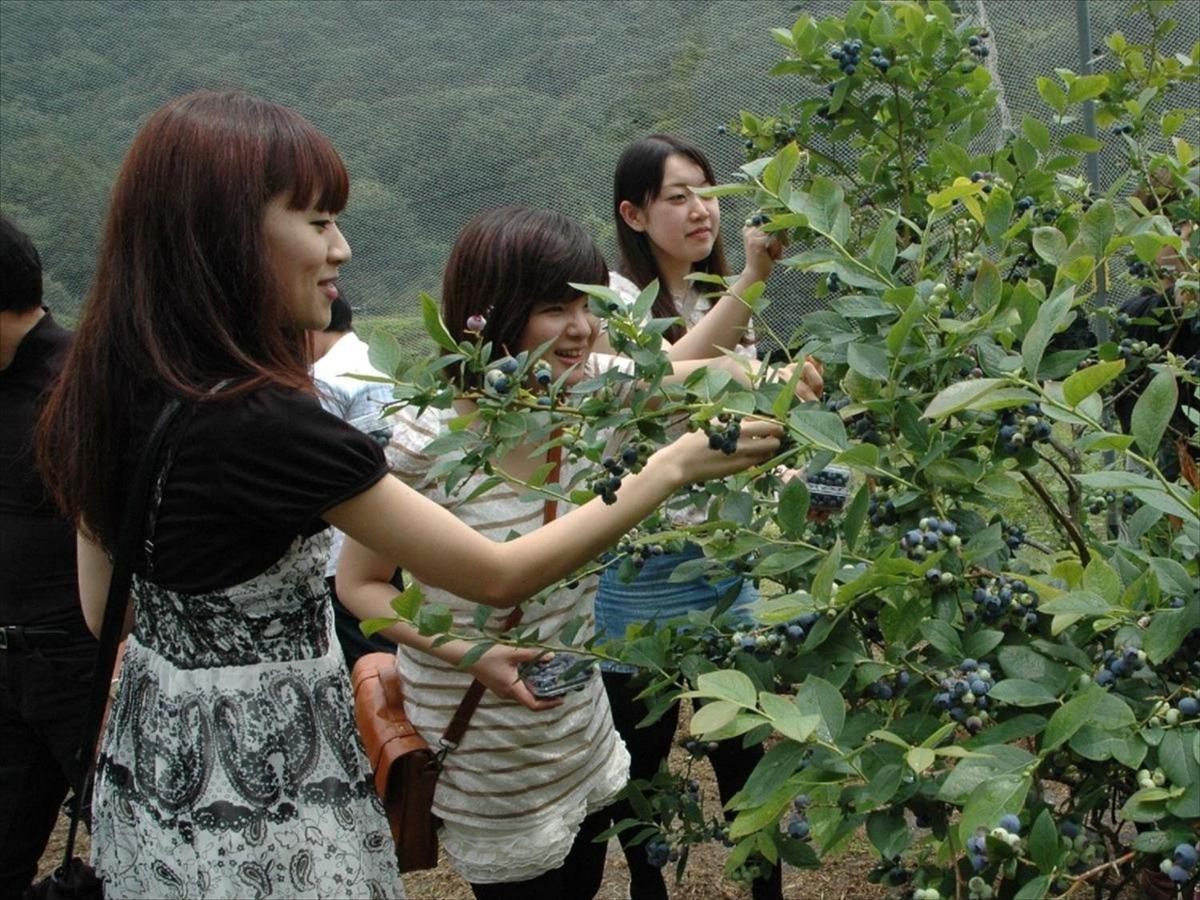 Rokugatsu-No-Mori Auberge Sano  Bagian luar foto